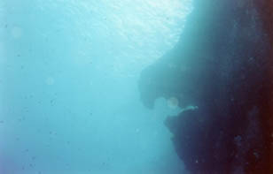 Old Man's Nose - Crikawa Reef, Malta