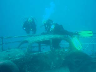 Beetle on the wreck of the Cominoland